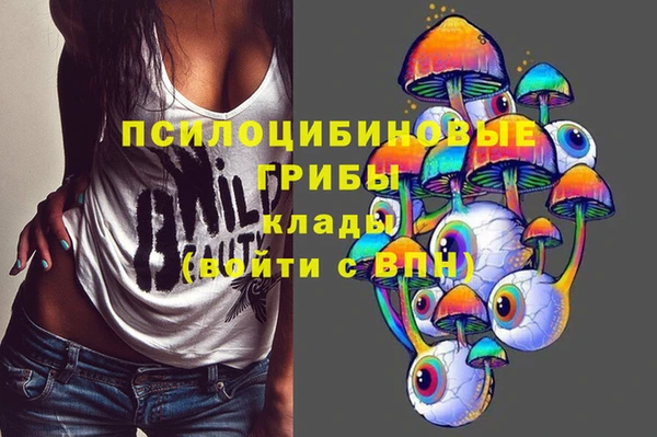 МДПВ Мегион