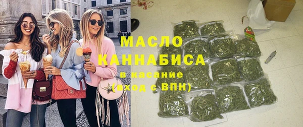 твердый Медногорск