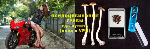 твердый Медногорск