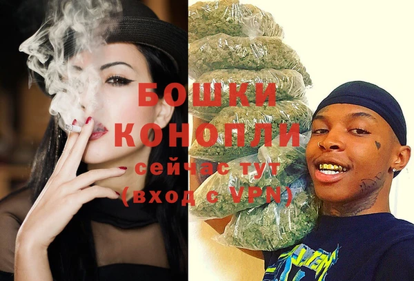 МДПВ Мегион
