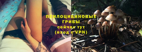 твердый Медногорск
